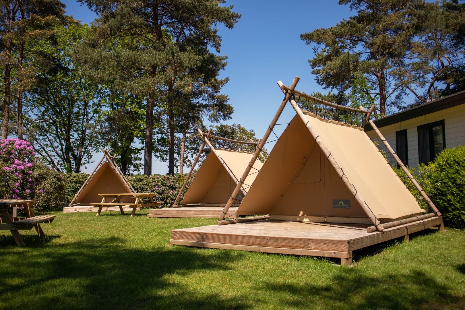 Lil markering schuintrekken Triangle tenten | Camping Zuid Ginkel